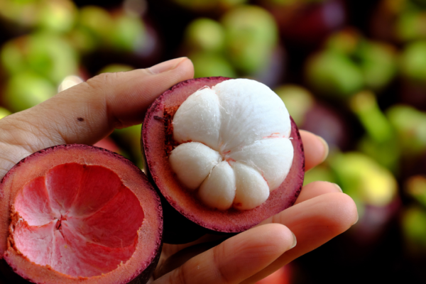 Garcinia Mangostana