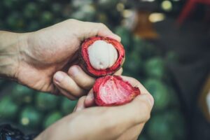 Garcinia mangostana